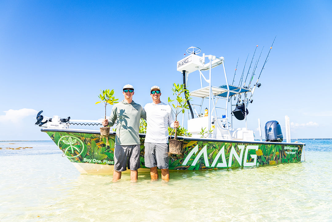 Modern Mangrove Forest Replanting Efforts