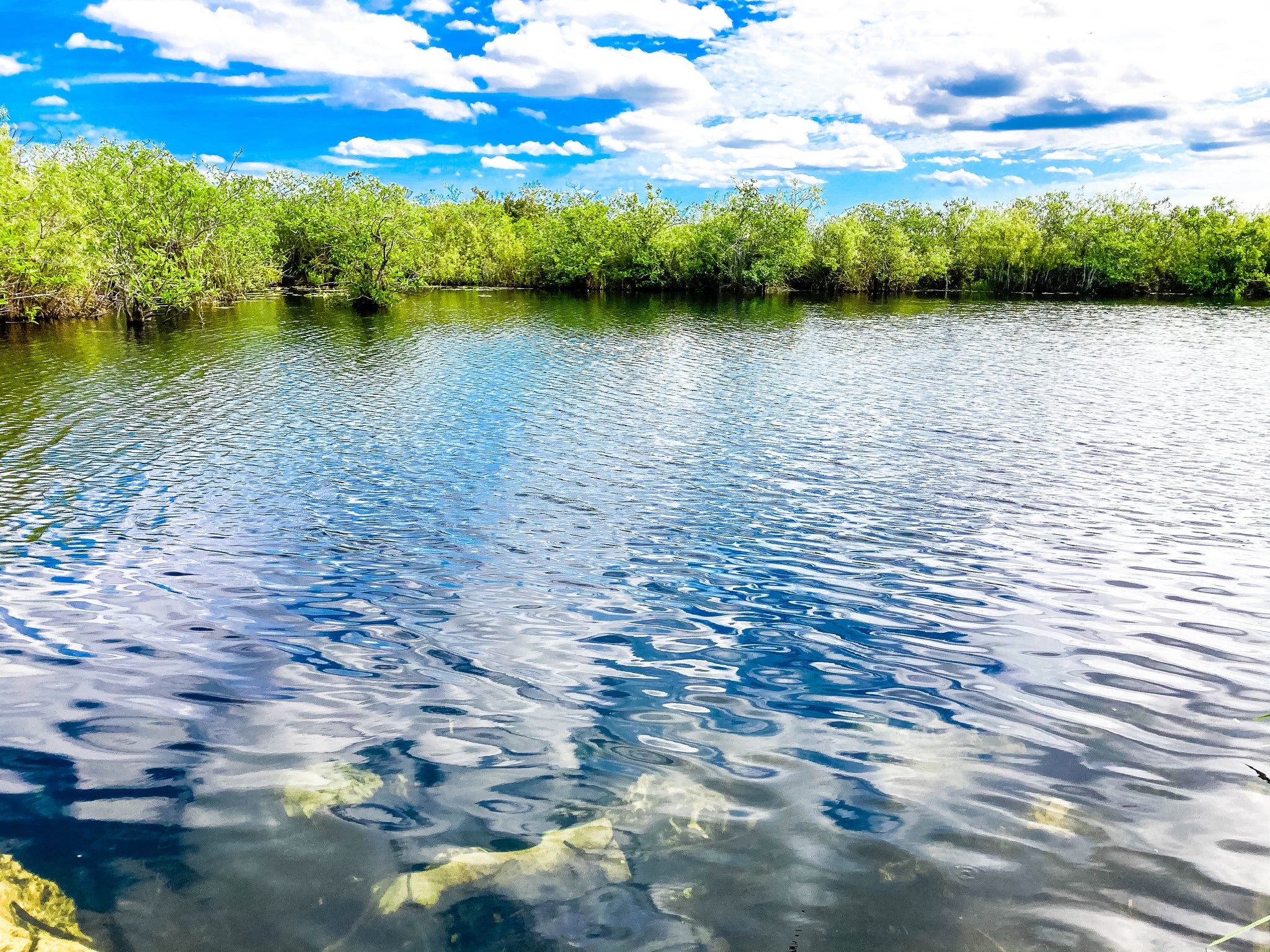 The Everglades Watershed: A Rich & Diverse Ecosystem