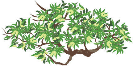 Artistic design of a mangrove tree