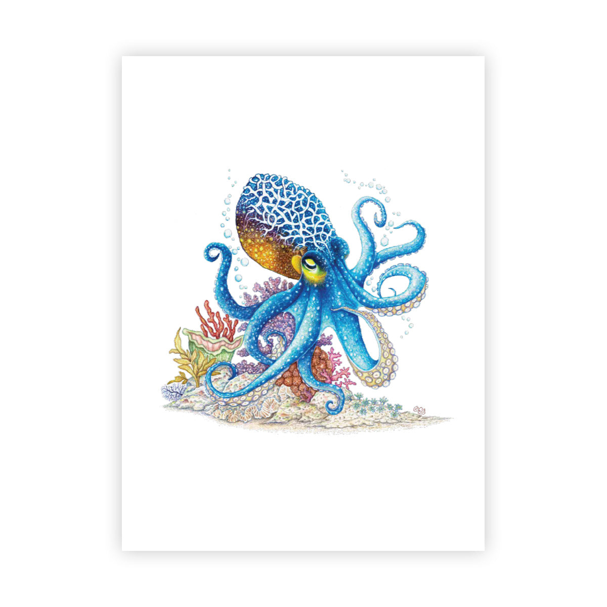 limited edition octopus card Octopus