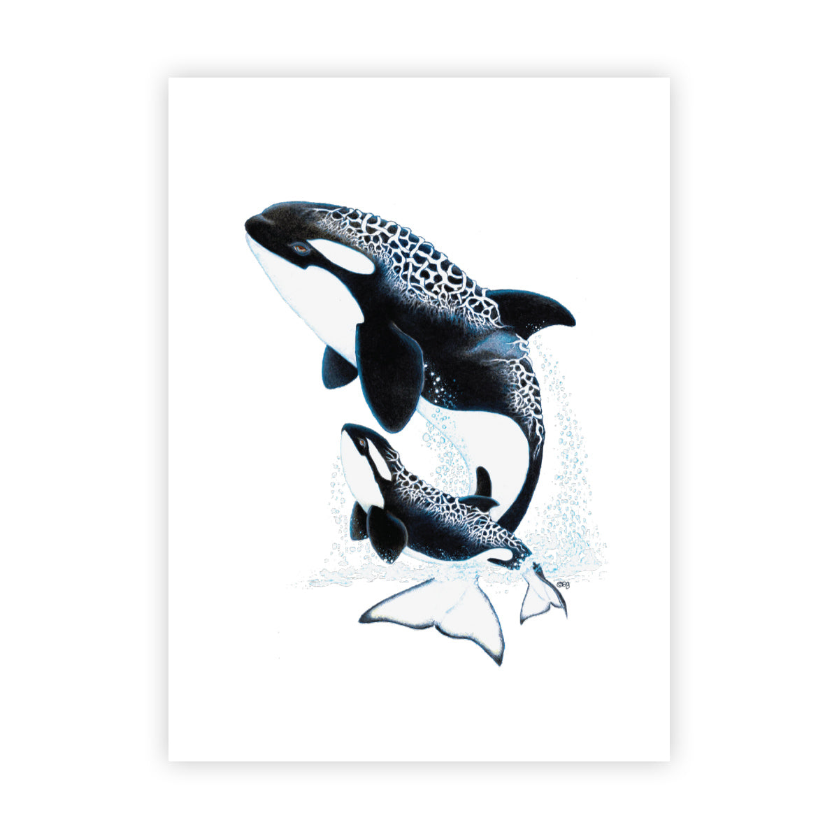 Orca