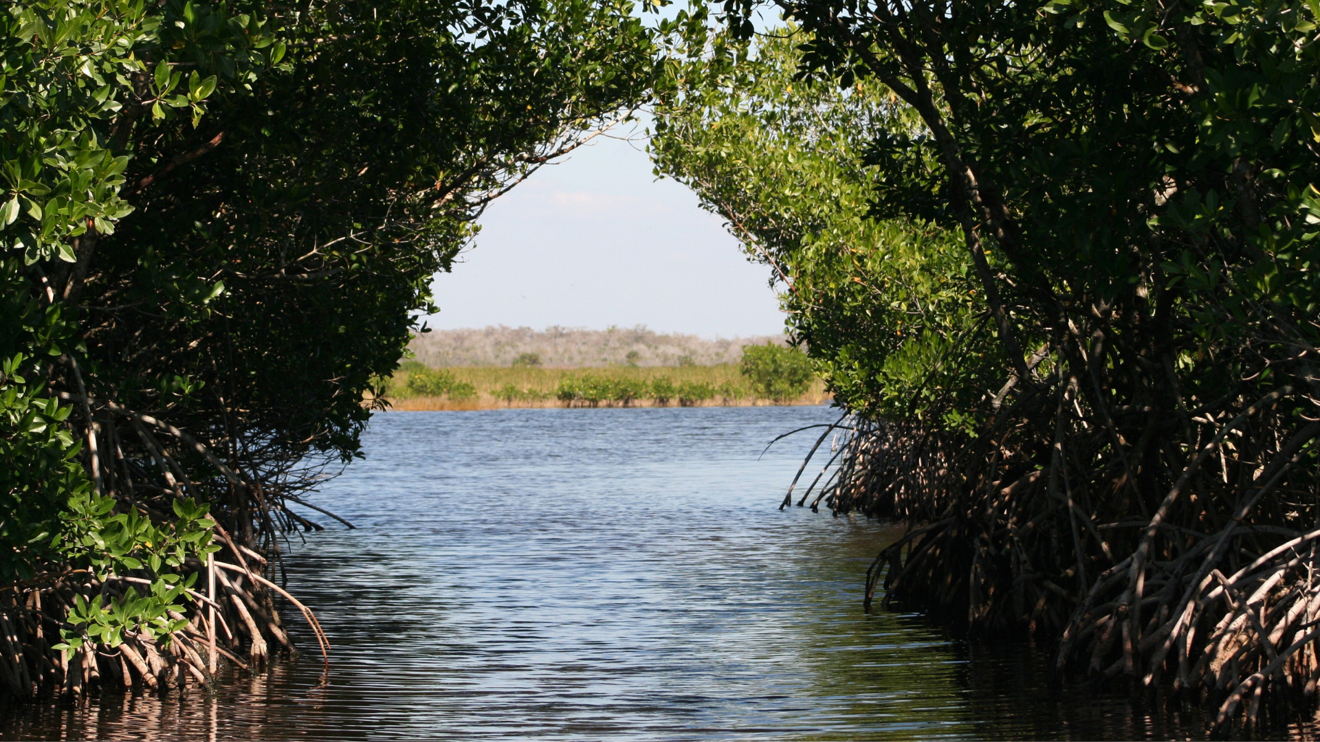 A Wild & Scenic River Tour