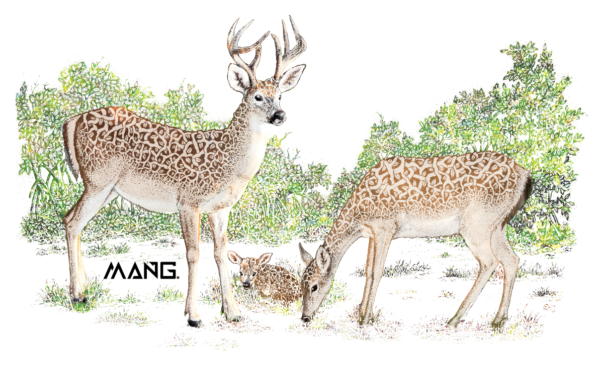 MANG Key Deer MANG - Sticker - -