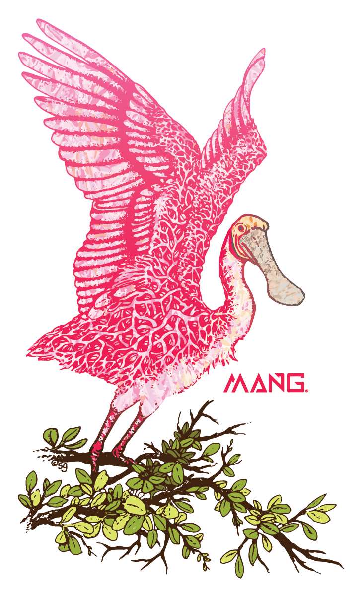 MANG Spoonbill MANG - Sticker - -