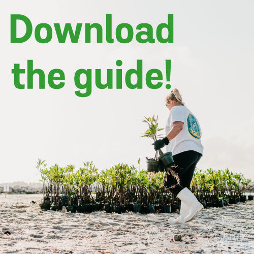 Woman with white shortsleeve performance shirt on walking through sand to deliver mangrove seedlings 