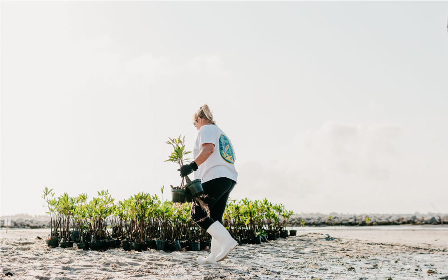 Woman with white shortsleeve performance shirt on walking through sand to deliver mangrove seedlings 