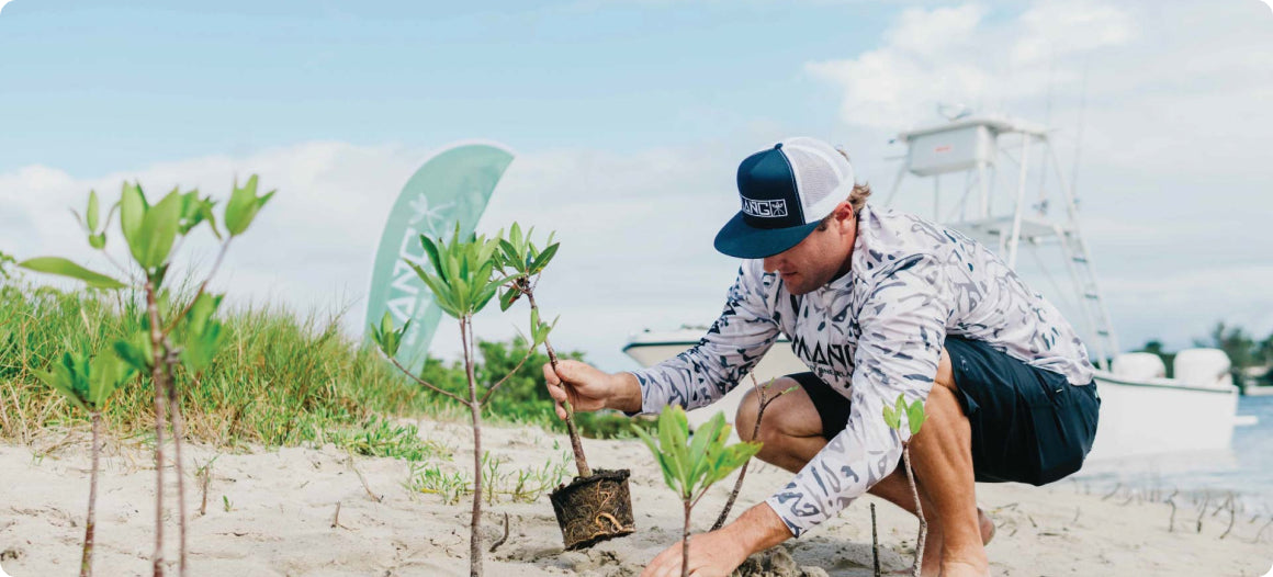 Planting Projects: Florida