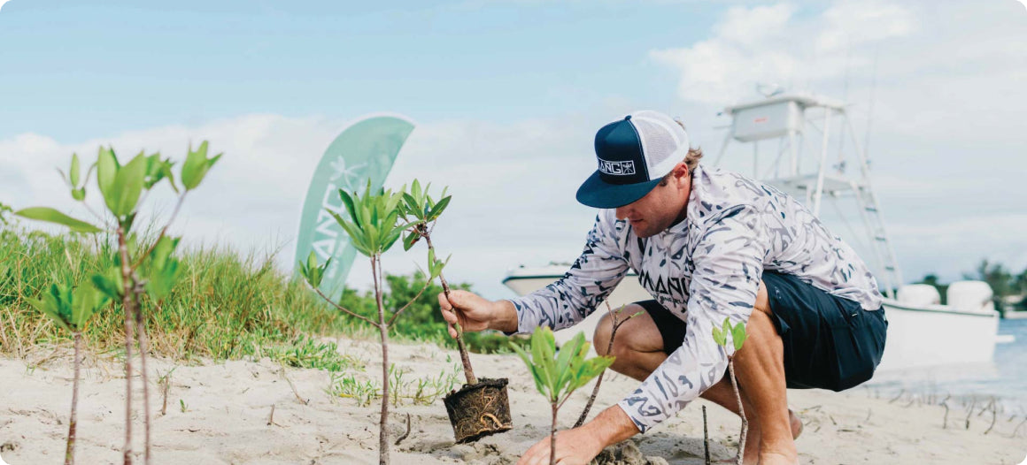 Man kneeling down in the sand planting several mangrove seedlings